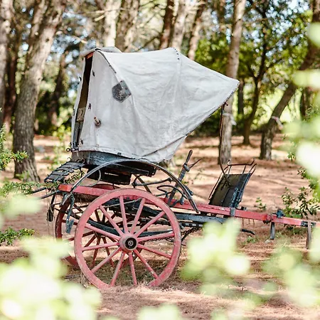 Inn 19 Secolo - Trulli Con Foresta, Bici E Barbecue Cisternino