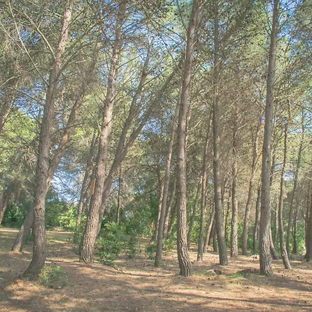 Ad Un Passo Da - Trulli Con Camino, Foresta E Bbq * Cisternino